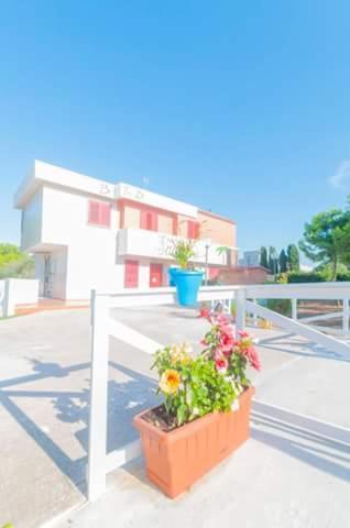Paradise Beb Giovinazzo Ngoại thất bức ảnh