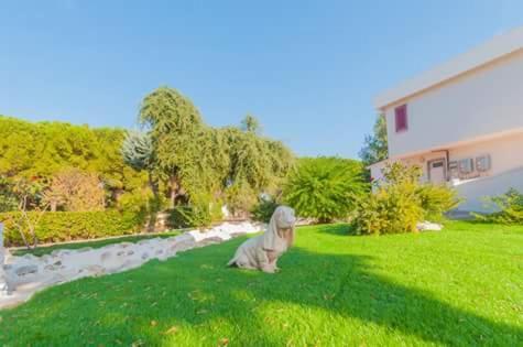 Paradise Beb Giovinazzo Ngoại thất bức ảnh